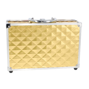 Luxe Gold Vanity Case - Closed